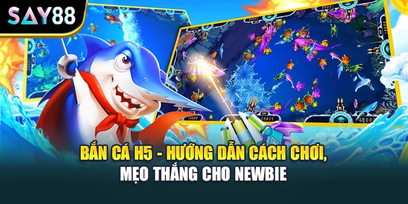 Bắn Cá H5 - Hướng Dẫn Cách Chơi, Mẹo Thắng Cho Newbie