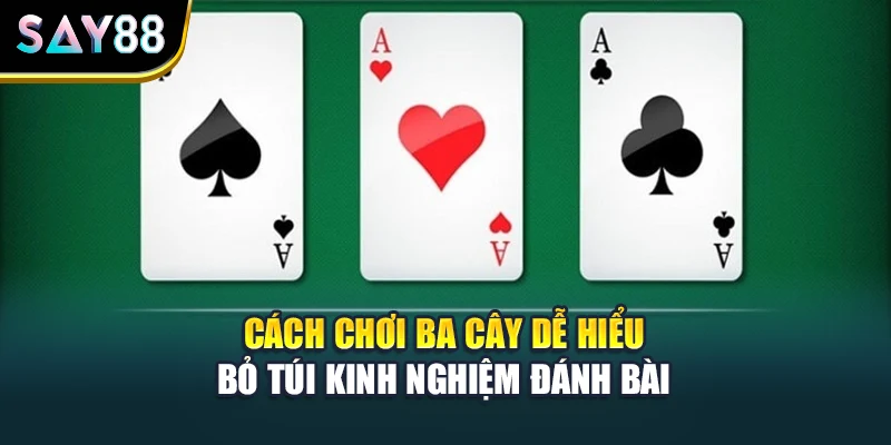 Cách Chơi Ba Cây Dễ Hiểu - Bỏ Túi Kinh Nghiệm Đánh Bài