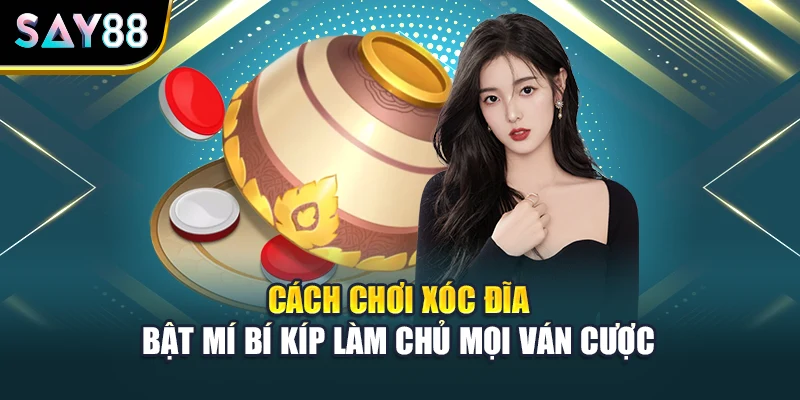 Cách Chơi Xóc Đĩa - Bật Mí Bí Kíp Làm Chủ Mọi Ván Cược