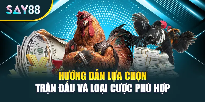 Hướng dẫn lựa chọn trận đấu và loại cược phù hợp