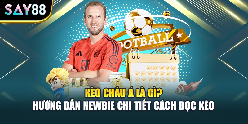 Kèo Châu Á Là Gì? Hướng Dẫn Newbie Chi Tiết Cách Đọc Kèo
